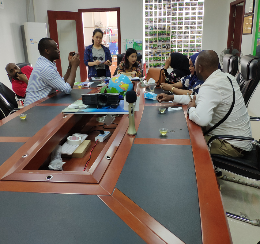 automatic solar led street light project